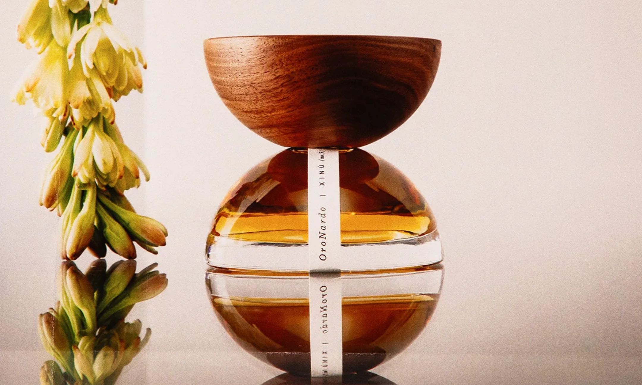 Estée Lauder Xinú Investment