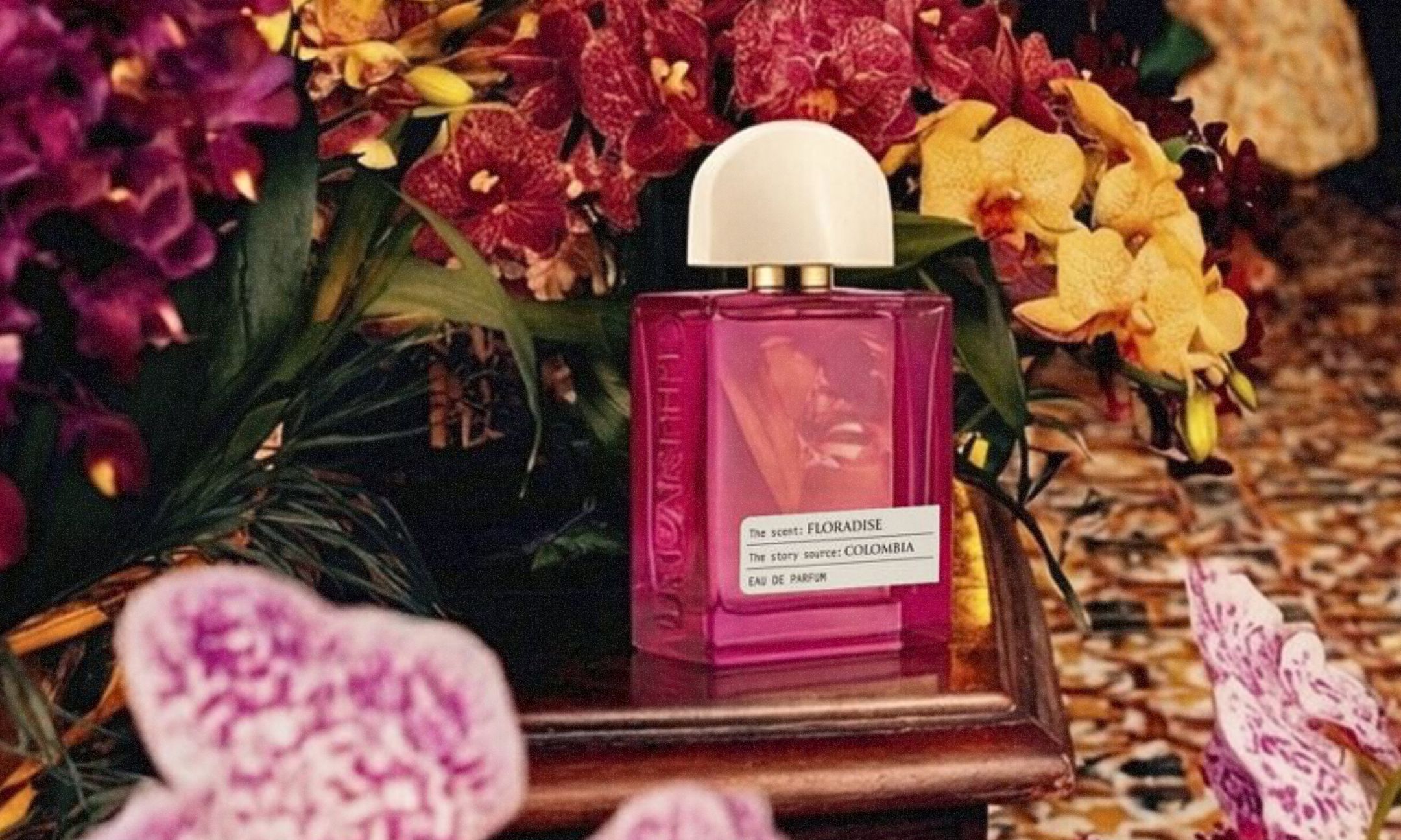 Maesa Scents Unearth’d