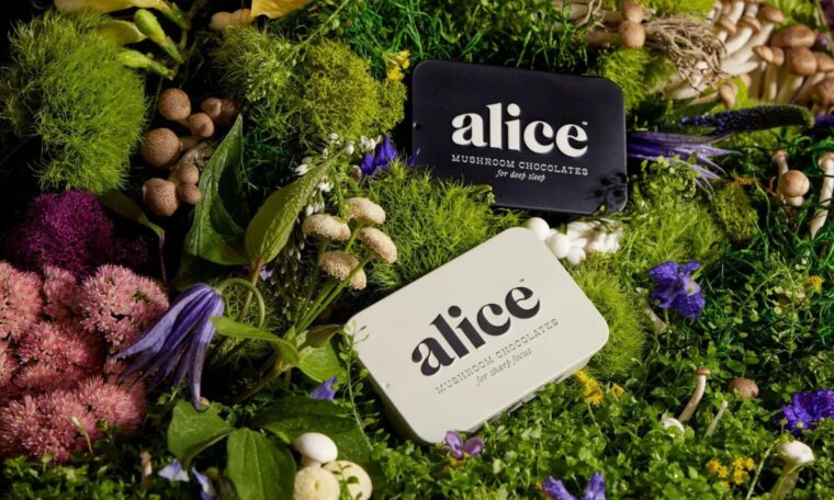 Alice Mushrooms