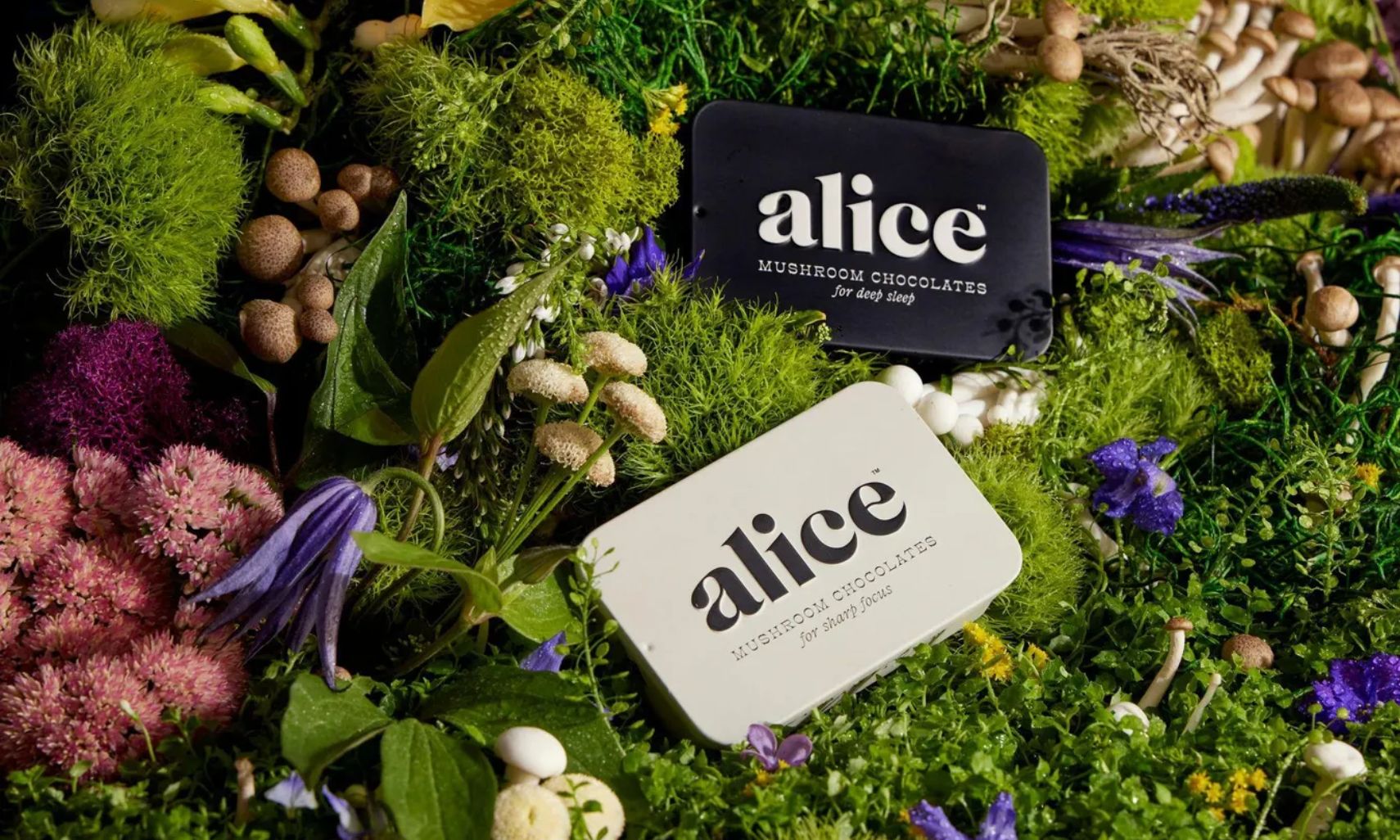 Alice Mushrooms