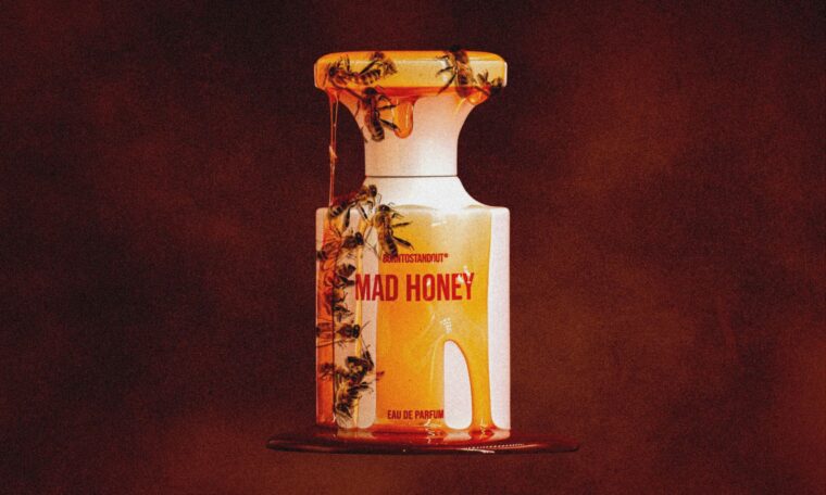 BORN TO STAND OUT fragrance