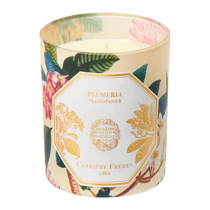 Frangipani Candle