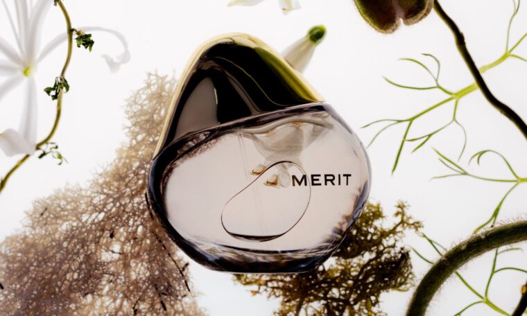 Merit Retrospect